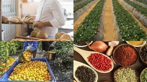 Alimentos frescos, especias y panificación